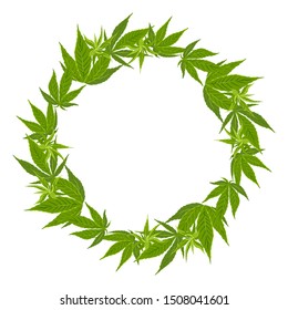 Hemp leaf wreath Isolated on white background. Vector illustration of green medical plant cannabis in cartoon simple flat style. Round frame, border.