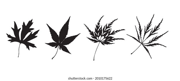 Hemp Leaves. Cannabis Shape. Leaf Collection. Set of Tree Branches, Herbs and Flowers Flat. Black and White Plants. Vector Silhouette. Garden Leaves. Black Hand Drawn Illustration.