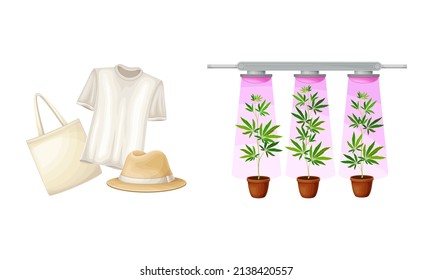 El cáñamo deja en juego productos de procesamiento. Cultivo industrial de cáñamo, fabricación de ilustraciones de vectores textiles y prendas de vestir