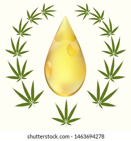Hemp oil drop in frame made from cannabis leaves - isolated on white background - vector. Health concept. Medical cannabis concept Medicinal plants
