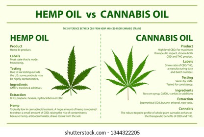 Hemp Oil vs Cannabis Oil horizontal infographic illustration about cannabis as herbal alternative medicine and chemical therapy, healthcare and medical science vector.
