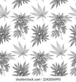 Hemp plant pattern. Cannabis branch with leaves. Marijuana twig vector seamless pattern on white background