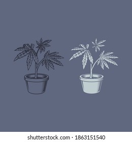Hemp plant stencil vector on a pot....