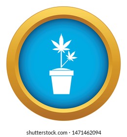 Hemp in pot icon blue vector isolated on white background for any design