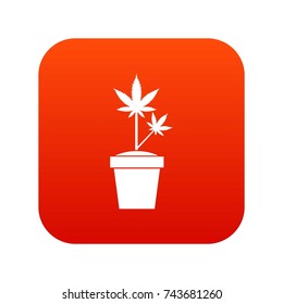 Hemp in pot icon digital red for any design isolated on white vector illustration