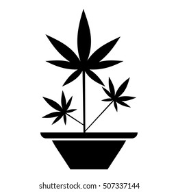 Hemp in pot icon. Simple illustration of hemp in pot vector icon for web