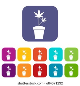 Hemp in pot icons set