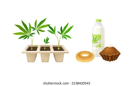 Hemp processing products set. Industrial hemp cultivation, manufacturing of textile and clothing vector illustration