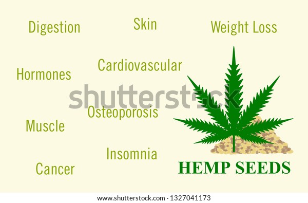 Hemp Seed Cure Horizontal Infographic Illustration Stock