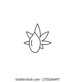 Hemp seeds, cannabis seed simple thin line icon vector illustration