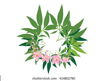 Hemp,Marijuana leaves  for symbol or background ,vector illustration