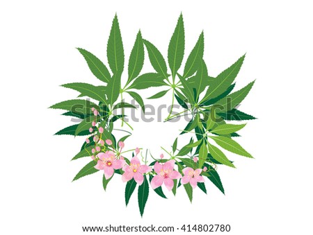 Hemp,Marijuana leaves  for symbol or background ,vector illustration
