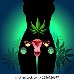 Hemp,Women Body's Silhouette And Medical Cannabis (marijuana Leaf) With THC, CBD For Treatment Of Uterine Cancer, Vector Illustration. EPS10/ILLUSTRATION