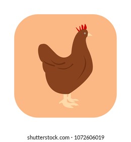 hen animal icon