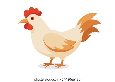 
Hen Bird vector illustration on white background