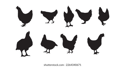 hen, broiler, chicken silhouettes vector illustrator eps10 