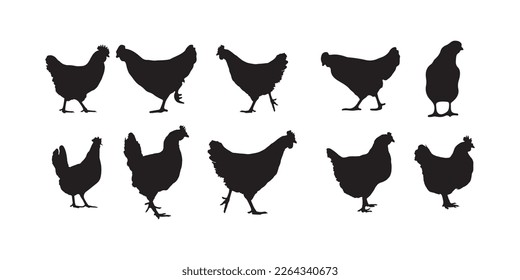 hen, broiler, chicken silhouettes vector illustrator eps10 