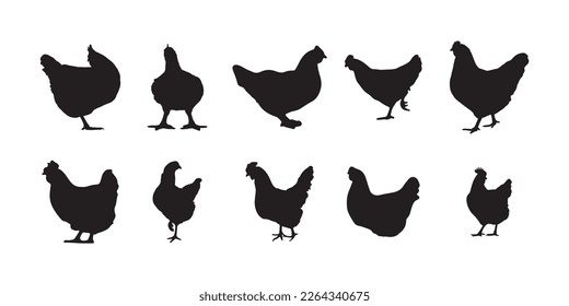 hen, broiler, chicken silhouettes vector illustrator eps10 