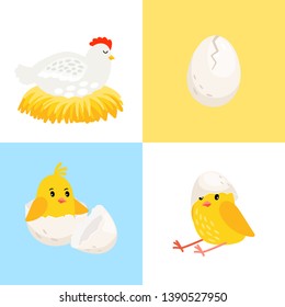 Hen and chick. Cartoon laying hen in nest, egg icon and hatched chick with eggshell on head vector illustration for marketing pictures