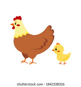 Hen and chick icon set isolated on white background. Cute farm birds family flat design cartoon style vector illustration. Funny poultry chicken family.