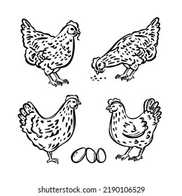 HEN CHICK SKETCHES And Eggs Symbol Of Holy Easter Holiday Hand Drawn Cartoon Monochrome Picture Farm Characters Clipart Vector Illustration Set For Print