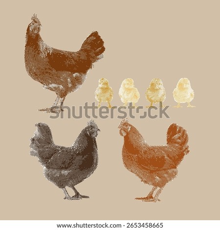 Hen and chick, hen vector, hen illustration, line drawing on brown background.