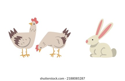 Hen or Chicken Bird and White Rabbit as Farm Animal Vector Set