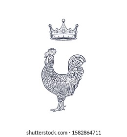 Hen or chicken with Crown hand drawn with contour lines on white background. Elegant monochrome drawing of domestic farm poultry bird. illustration in vintage woodcut, engraving style. Vector