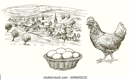 Hen, chicken, eggs in basket, rural village.