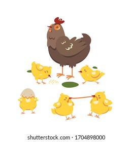 hen chicken family vector set