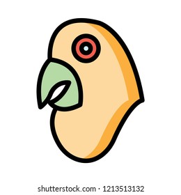 hen  chicken   food 