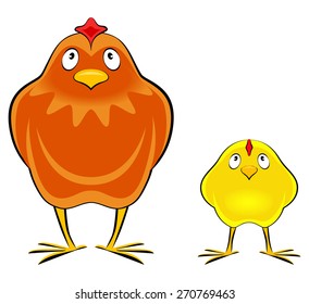 hen and chicken, isolated on  white background