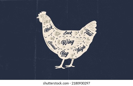 Hen Chicken Meat Chart Butchery Poster Stock Vector (royalty Free 