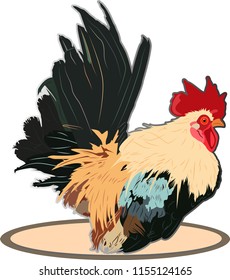 Hen, Chicken is real, Logo