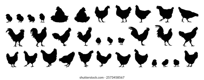 hen or chicken, rooster and chicks silhouette set. hen, rooster and chicks isolated farm animal silhouette icon vector collection. Vector illustration