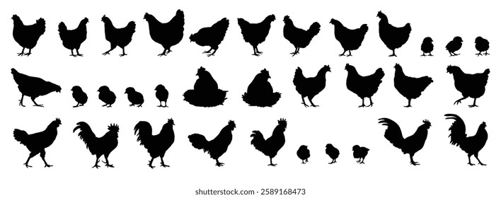 hen or chicken, rooster and chicks silhouette set. hen, rooster and chicks isolated farm animal silhouette icon vector collection. Vector illustration