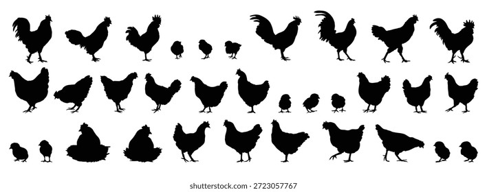 Huhn oder Huhn, Hahn und Küken Silhouette-Set. Henne, Hahn und Küken isoliert Bauernhof Tier Silhouette Symbol Vektorgrafik Sammlung. Vektorgrafik