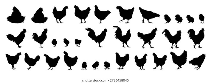 hen or chicken, rooster and chicks silhouette set. hen, rooster and chicks isolated farm animal silhouette icon vector collection. Vector illustration