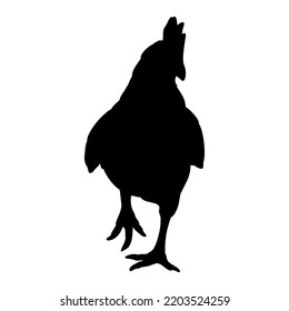 Hen or chicken silhouette isolated in white background. Free grazing hen bird in the runch. Hand drawn vector illustration