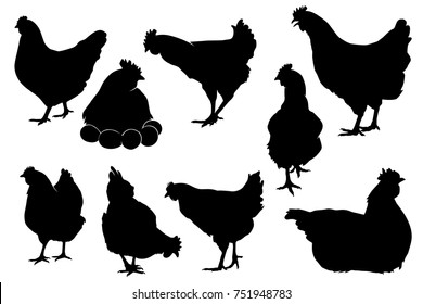 hen chicken silhouette set