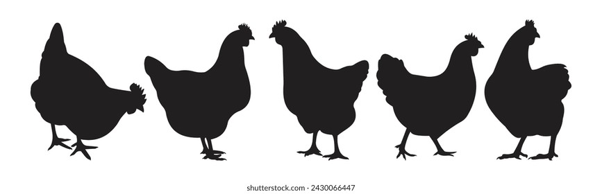 hen chicken silhouette set. black isolated white background