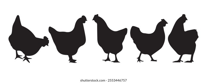 Hen chicken silhouette set. Eps 10