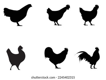 hen chicken silhouette set, silhouettes of hen chicken. vector Illustration