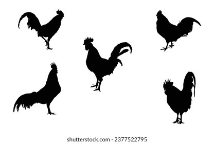 Ilustración vectorial del conjunto de siluetas de pollo de Hen