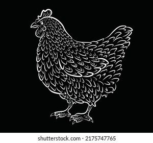 hen, chicken vector animals, chalk bird isolated illustration on bright background. Concept for logo, print, menu