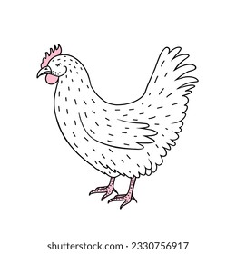 Hen, chicken. Vector Illustration for printing, backgrounds, covers and packaging. Image can be used for greeting cards, posters, stickers and textile. Isolated on white background.