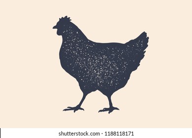 Hen, chicken. Vintage logo, retro print, poster for Butchery meat shop, hen silhouette. Logo template for meat business, meat shop. Isolated black silhouette hen, white background. Vector Illustration