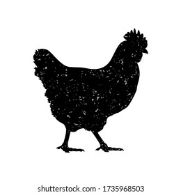 Hen, chicken. Vintage style logo, grunge texture, poster for meat shop, hen silhouette. Logo template for meat business. Isolated black silhouette hen, white background. Vector Illustration