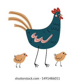 Hen and Chickens, Agriculture, Poultry Breeding at Farm Vector Illustration