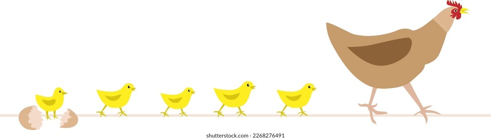 Hen with chickens. Bird family. Vector illustration. Chicken farm.